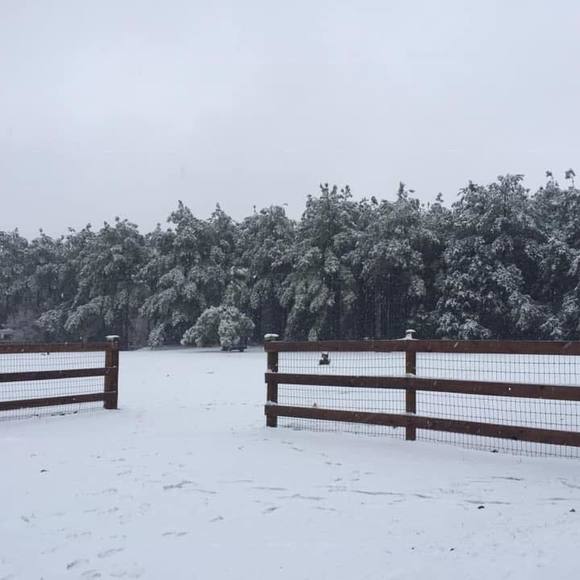 Meet your Posher, Sheri - Picture 1 of 1